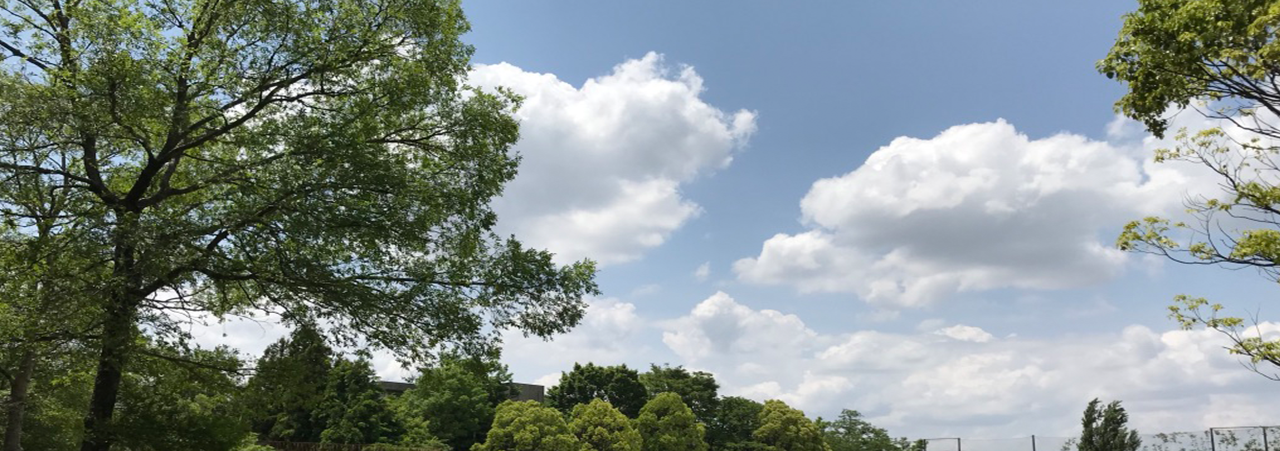 団塊ボーイズ倶楽部